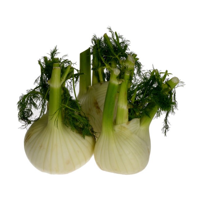 Φινόκιο Ιταλίας