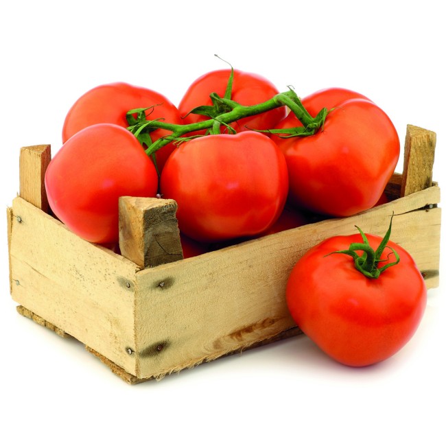 Τομάτες Galli Μεσσηνίας