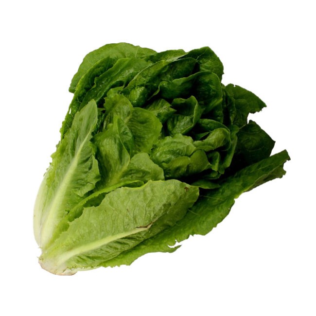 Μαρούλι Αργολίδος