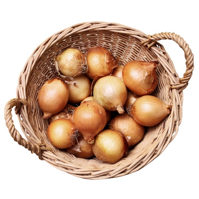 Κρεμμύδια Κόκκινα Βοιωτίας σε Δίχτυ ~ 1,5Kg / συσκευασία