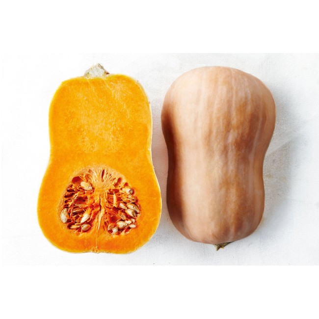 Κολοκύθες Μίνι Εισαγωγής Ηλείας