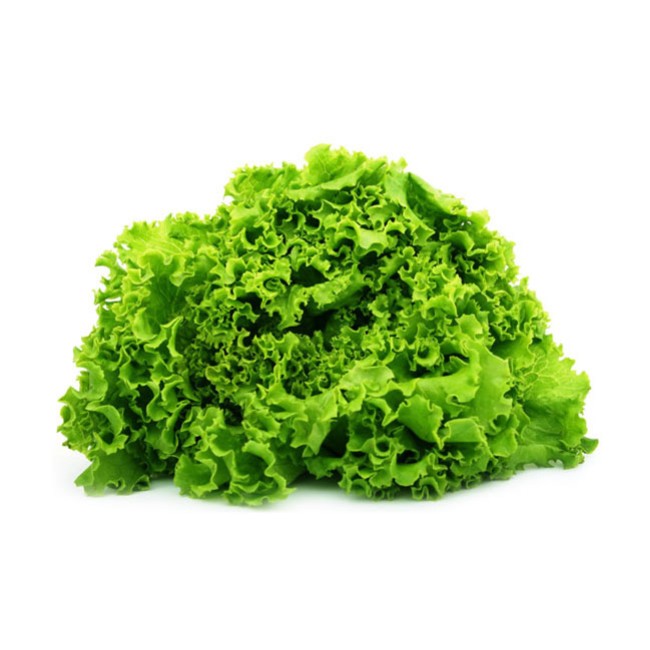 Λόλα Πράσινη Θήβας