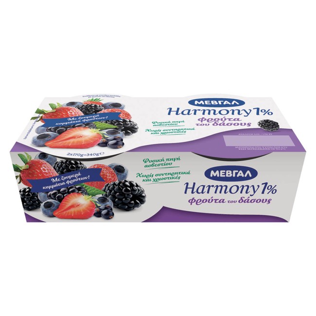 Μεβγάλ επιδόρπιο Γιαουρτιού Harmony Φρούτα του Δάσους 1% Λιπαρά 2x170gr