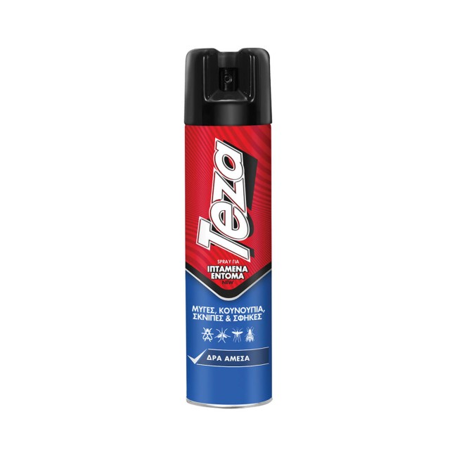 Teza Εντομοκτόνο Fik Spray 300ml