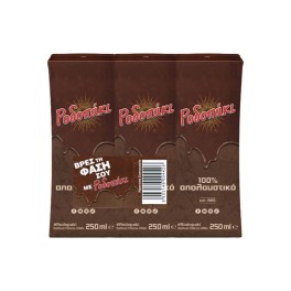 Ροδοπάκι Γάλα με Κακάο 3x250ml
