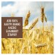 Misko Σπαγγέτι Μακαρόνια Ολικής Άλεσης No.6 500gr Misko Σπαγγέτι Μακαρόνια Ολικής Άλεσης No.6 500gr