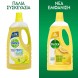 Dettol Citrus Υγρό Γενικού Καθαρισμού lt