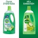 Dettol Πράσινο Μήλο Υγρό Γενικού Καθαρισμού lt