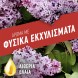 Ajax Υγρό Καθαριστικό Fete Des Fleurs Άνθη Πασχαλιάς 1lt