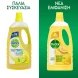 Dettol Citrus Υγρό Γενικού Καθαρισμού lt Dettol Citrus Υγρό Γενικού Καθαρισμού lt
